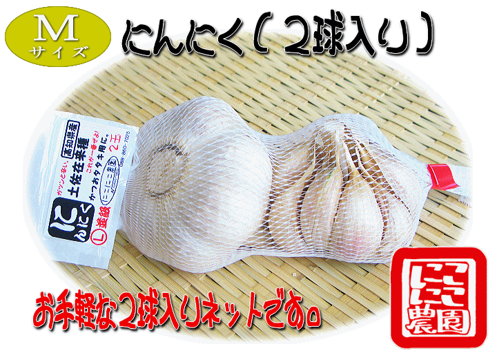 高知県産】にんにく（2球入り）☆Mサイズ