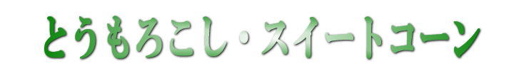 コーン見出し