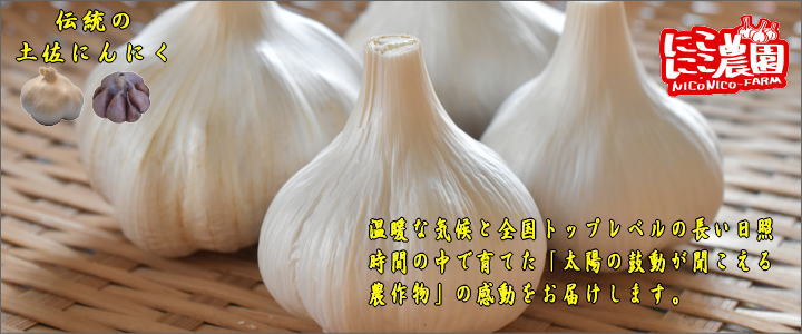 伝統のにんにくとこじゃんと旨い土佐の食材の通販ショップ にこにこ農園