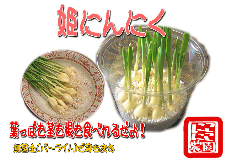 にこにこ農園が生産するにんにく 伝統のにんにくとこじゃんと旨い土佐の食材の通販ショップ にこにこ農園 にこにこ農園が生産するにんにく 伝統のにんにくとこじゃんと旨い土佐の食材の通販ショップ にこにこ農園