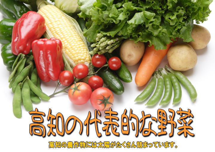 高知の代表野菜