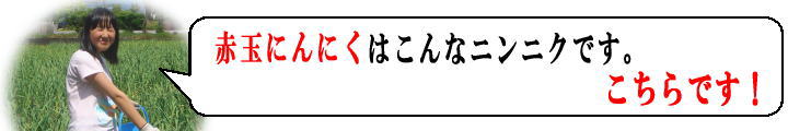 赤玉にんにく吹き出し