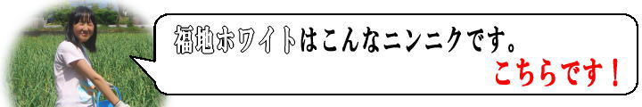 福地ホワイト吹き出し