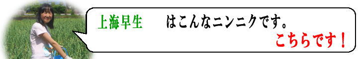 上海早生吹き出し