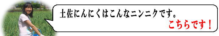 土佐にんにく吹き出し