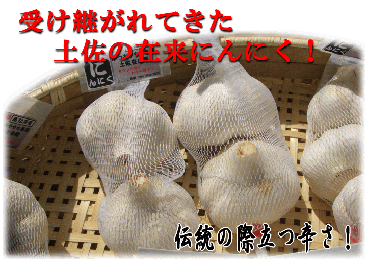 ニンニク サプリ 黒にんにく 卵黄 DHA EPA 烏骨鶏卵黄（大容量6