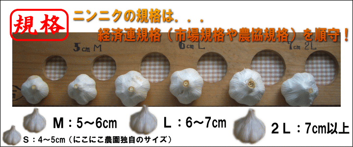 高知県産 おすすめのにんにく球