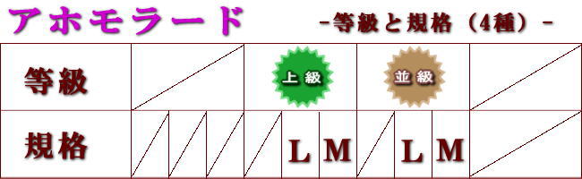 アホモラード規格等級表