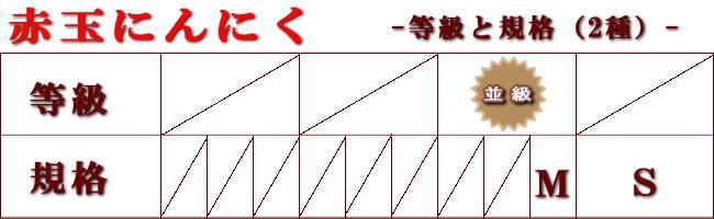 赤玉にんにく規格等級表