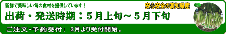 青切りにんにく出荷時期