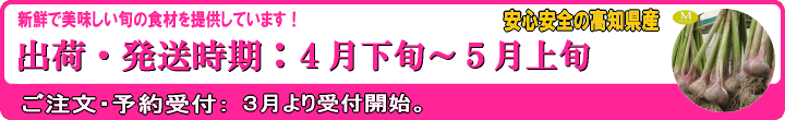 青切りにんにく赤玉出荷時期