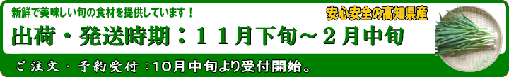 葉にんにく出荷時期