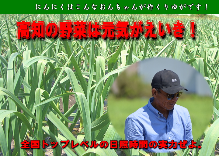生産農家・店主
