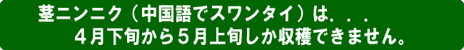 ４月限定見出し